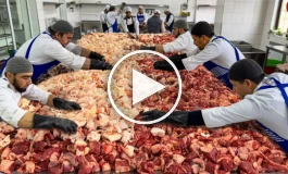 (ویدئو) فرآیند برش و کباب کردن ۱.۵ تُن گوشت گاو و گوسفند توسط ۸ آشپز ازبکستانی